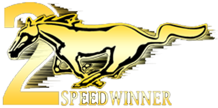 2SPEEDWINNER